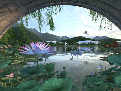 Park Landscape Lotus Chinese Bridge Cave Waterscape White Crane Landscape Forest Shrub Green Planting 3d model
