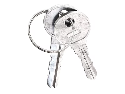Two Metal Keys With Key Ring And Detailed Key Teeth Design 3d model
