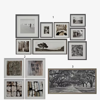 Black And White Framed Landscape Paintings With Natural Scenes And Trees 3d model