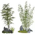 Two Green Bamboo Clumps with Gray Rocks and Small Plants on Grass 3d model