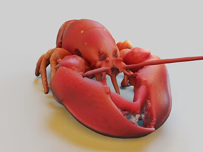 Red Lobster With Large Claws Vibrant Red Color And Detailed Antennae 3d model