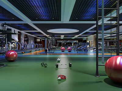 Modern Gym Interior with Red Fitness Balls Dumbbells Climbing Ladder and Workout Equipment 3d model