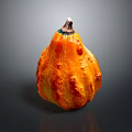Organic Fresh Ripe Orange Pumpkin with Textured Skin and Green Stem