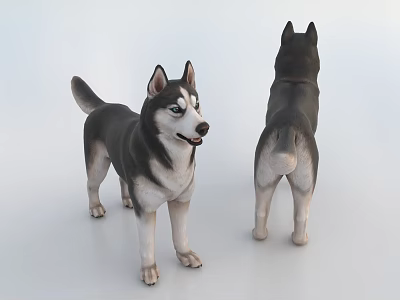 Realistic Husky Dog 3D Models Front And Back Views On White Background 3d model