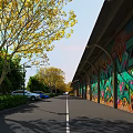 Park Landscape With Trees Having Yellow Leaves Green Shrubs Parked Cars And Colorful Graffiti Arcade