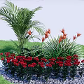 Lush Garden Plant Combination with Palm Leaves Orange Flowers Red Roses Grass and Pebbles