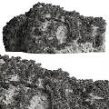 Lush Greenery Covered Garden Ornament With Diverse Plants And Fresh Foliage