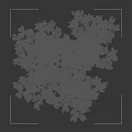 Tall Arbor With Green Lush Leaves Against Black Background And Human Silhouette Beside