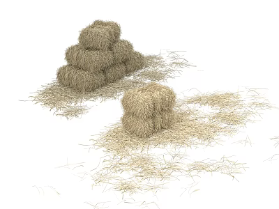 Natural Dry Grass Hay Stacks With Scattered Hay On White Surface 3d model