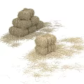 Natural Dry Grass Hay Stacks With Scattered Hay On White Surface 3d model