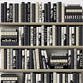 Stylish Books And Magazines On Wooden Bookshelf With City Titles And Black White Covers
