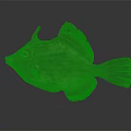 Unique Horned Fish Featuring Orange Eyes Spotted Body And Yellow Fins