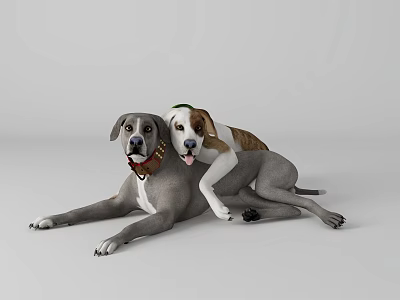 Two Gray And Brown White Dogs Wearing Collars Lying On White Background 3d model