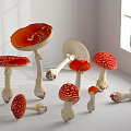 Fresh Red and White Spotted Mushroom Vegetables in Bright White Room With Natural Light