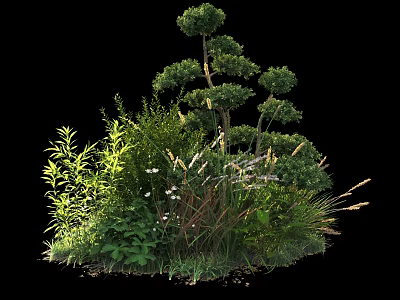 Lush Ornamental Shrubs In Garden Landscape With Green Foliage Herbs And White Flowers 3d model