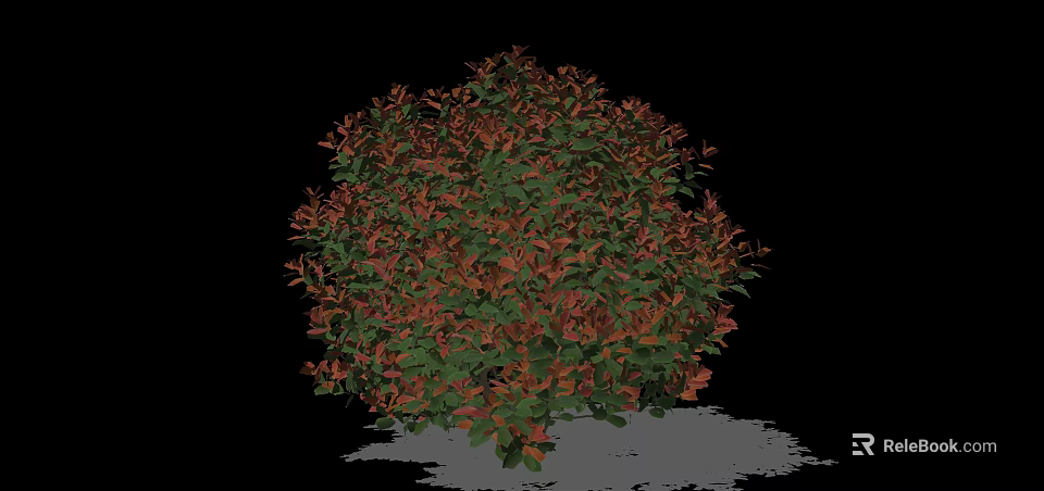 Rounded Shrub With Red And Green Leaves In Black Background With Shadow 3d model 