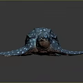 Turtle Spotted Turtle Cartoon Turtle Snapping Turtle Chickpea Turtle Reptile Cold Blooded Animal Reptile 3d model