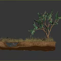 Cartoon Style Natural Scene With Small Stream Green Tree And Grass On Brown Land