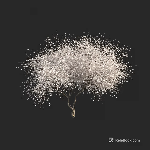 Lush Tree with Dense Light Colored Foliage and Slender Trunk Against Black Background 3d model