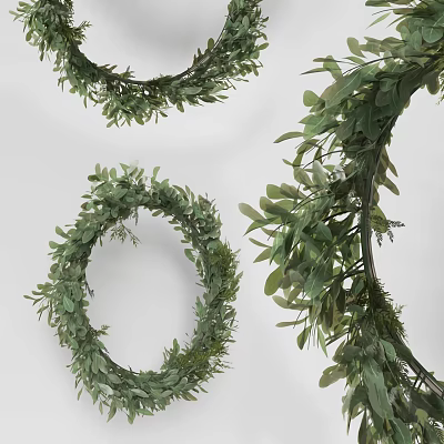 Green Wreaths In Different Sizes With Circular Shape Green Leaves Branches And Light Background 3d model