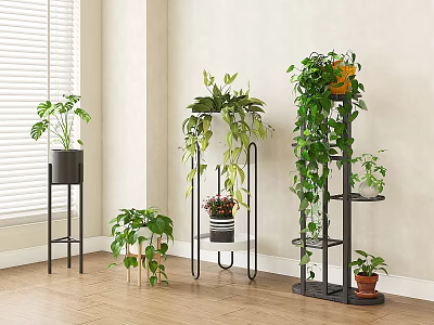 Indoor Various Potted Plants On Metal And Wooden Stands With Window Light 3d model