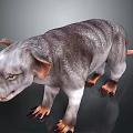 Realistic 3D Model of Striped Wild Boar Like Animal With Brown Ears And Claws