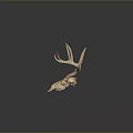 Natural Deer Skull With Large Antlers Displayed On Dark Background 3d model