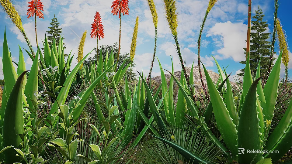 Vibrant Aloe Plants With Red Flowers Yellow Spikes Green Leaves And Rocks Under Blue Sky 3d model 