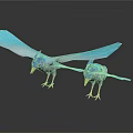 Two Blue Birds With Open Wings Yellow Beaks Standing Against Dark Background