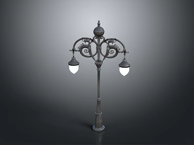 Vintage Street Lamp With Ornate Design Two Illuminated Heads And Black Pole 3d model