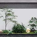 Elegant Garden Ornament Display With Green Plants Tall Tree Stone And Moon Decor