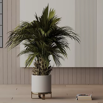 Modern Potted Plant 3d model
