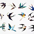 Various Colorful Swallow Illustrations With Different Poses And Vibrant Feathers