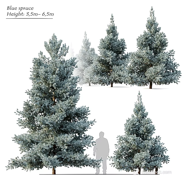 Garden Decor With Evergreen Trees And Person Silhouette In Lush Foliage 3d model 