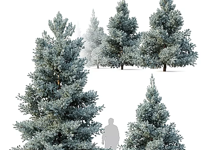 Garden Decor With Evergreen Trees And Person Silhouette In Lush Foliage 3d model