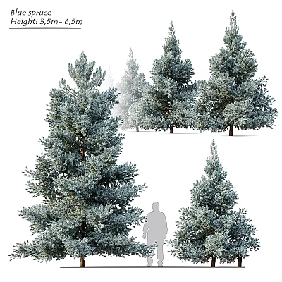 Garden Decor With Evergreen Trees And Person Silhouette In Lush Foliage 3d model