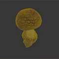 Brown Mushroom With White Spots And Root On Dark Background Isolated 3d model