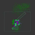 Flowering Tree With Purple Blossoms Green Leaves In Misty Morning Atmosphere