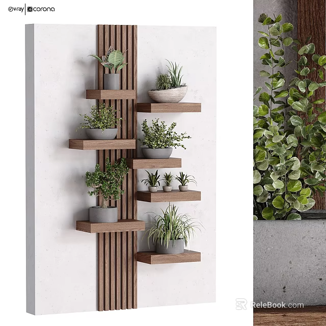 Potted Plants Display on Wall Mounted Wooden Multi Tiered Shelves with Green Foliage 3d model 