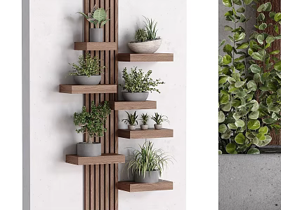 Potted Plants Display on Wall Mounted Wooden Multi Tiered Shelves with Green Foliage 3d model