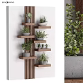 Potted Plants Display on Wall Mounted Wooden Multi Tiered Shelves with Green Foliage