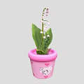 Butterfly Hovering Near Pink Flower Pot With Lily Of The Valley Blooms