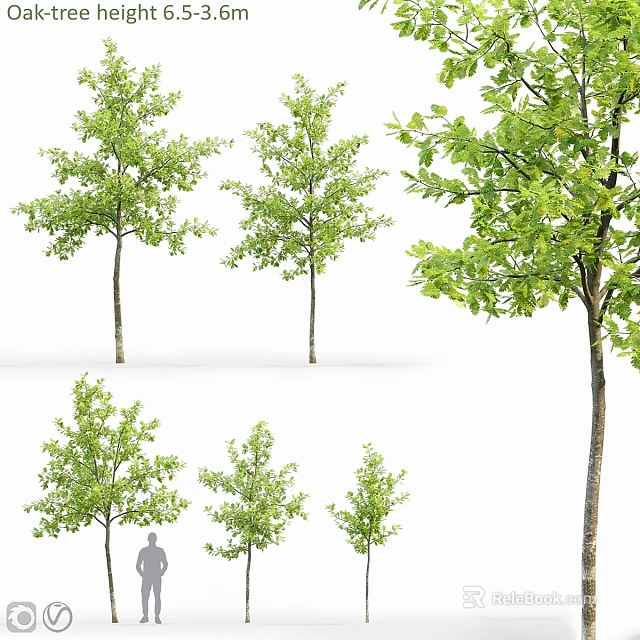 Decorative Tree Ornaments Set With Various Sizes And Green Foliage 3d model 