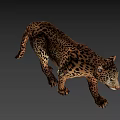 Realistic Leopard 3D Model With Detailed Fur Pattern And Walking Stance 3d model