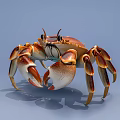 Detailed Orange Brown Crab With Large Claws And Eight Legs On Light Blue Background
