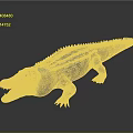 3D Crocodile Model With Blue Back Open Mouth And Gray Background Reflection