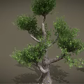 Cartoon Scene Featuring Two Trees With Green Leaves And Curved Trunks On Gray Background