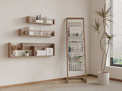 Wooden Wall Shelves and Floor Shelving in Modern Home Interior with Books Plants and Newspapers 3d model