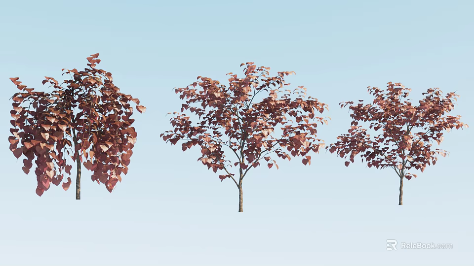 Three Red Leaf Arbor Trees With Vibrant Foliage Against Light Blue Sky 3d model 