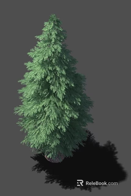 Tall Evergreen Arbor with Lush Green Foliage and Dense Branches Against Gray Background 3d model 